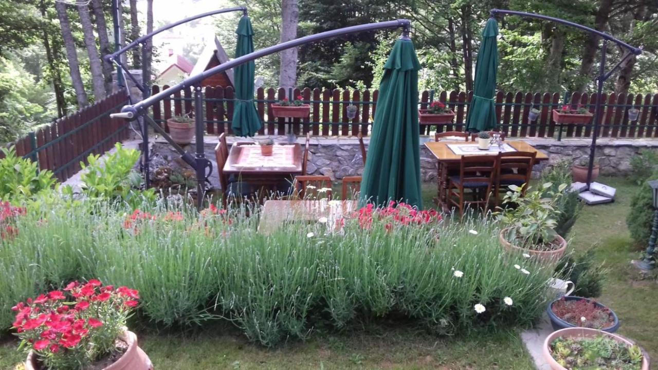 Restaurant And Apartments - T'Ga Za Jug Lazaropole Luaran gambar